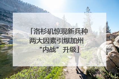 洛杉矶惊现新兵种 两大因素引爆加州“内战”升级
