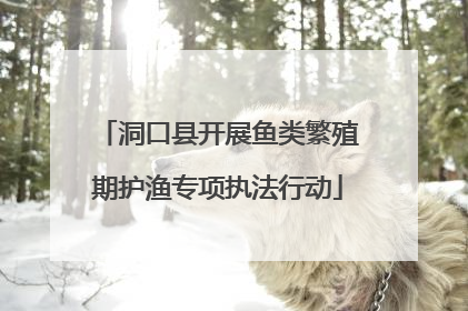 洞口县开展鱼类繁殖期护渔专项执法行动