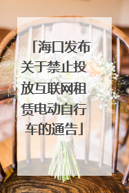 海口发布关于禁止投放互联网租赁电动自行车的通告