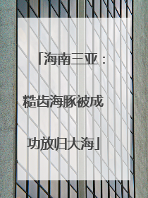 海南三亚：糙齿海豚被成功放归大海