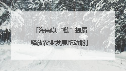 海南以“链”提质 释放农业发展新动能