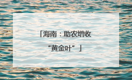 海南：助农增收 “黄金叶”