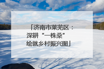 济南市莱芜区：深耕“一株桑” 绘就乡村振兴图