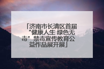 济南市长清区首届“健康人生 绿色无毒”禁毒宣传教育公益作品展开展