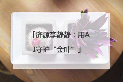 济源李静静：用AI守护“金叶”