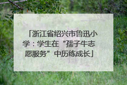 浙江省绍兴市鲁迅小学：学生在“孺子牛志愿服务”中历练成长