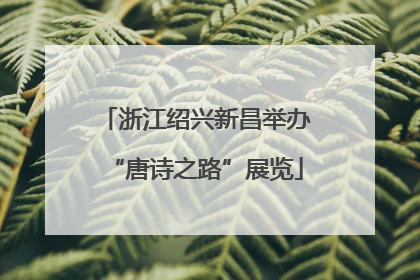 浙江绍兴新昌举办“唐诗之路”展览