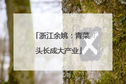 浙江余姚：青菜头长成大产业