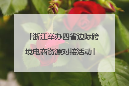 浙江举办四省边际跨境电商资源对接活动