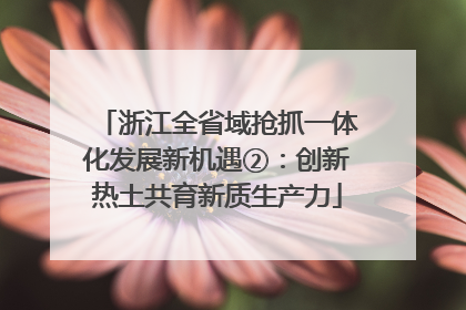 浙江全省域抢抓一体化发展新机遇②：创新热土共育新质生产力