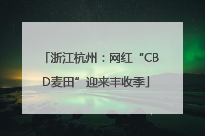 浙江杭州：网红“CBD麦田”迎来丰收季