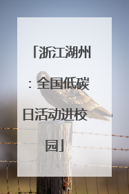浙江湖州：全国低碳日活动进校园