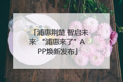 浦惠荆楚 智启未来 “浦惠来了”APP焕新发布