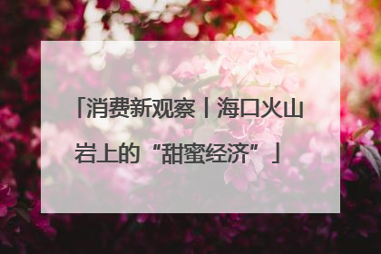 消费新观察丨海口火山岩上的“甜蜜经济”