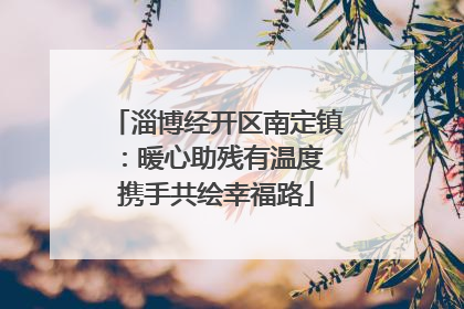淄博经开区南定镇：暖心助残有温度 携手共绘幸福路