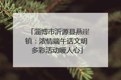 淄博市沂源县燕崖镇：浓情端午话文明 多彩活动暖人心