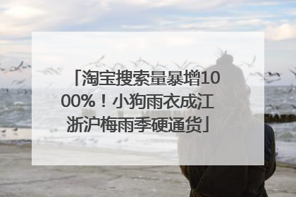 淘宝搜索量暴增1000%！小狗雨衣成江浙沪梅雨季硬通货