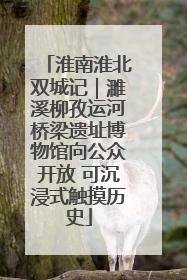 淮南淮北双城记｜濉溪柳孜运河桥梁遗址博物馆向公众开放 可沉浸式触摸历史