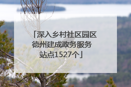 深入乡村社区园区 德州建成政务服务站点1527个