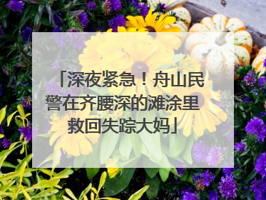 深夜紧急！舟山民警在齐腰深的滩涂里救回失踪大妈
