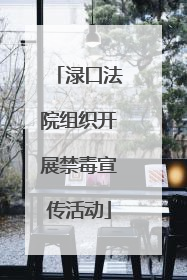 渌口法院组织开展禁毒宣传活动