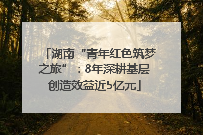 湖南“青年红色筑梦之旅”：8年深耕基层创造效益近5亿元