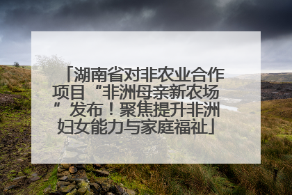 湖南省对非农业合作项目“非洲母亲新农场”发布！聚焦提升非洲妇女能力与家庭福祉