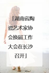 湖南省陶瓷艺术家协会换届工作大会在长沙召开