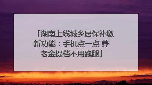 湖南上线城乡居保补缴新功能：手机点一点 养老金提档不用跑腿