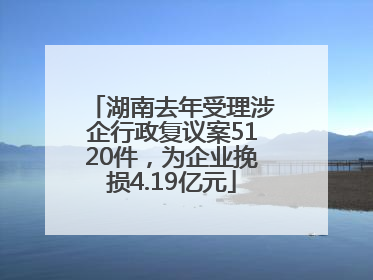 湖南去年受理涉企行政复议案5120件，为企业挽损4.19亿元