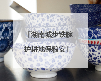 湖南城步铁腕护耕地保粮安