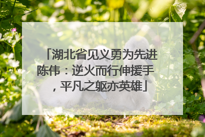 湖北省见义勇为先进陈伟：逆火而行伸援手，平凡之躯亦英雄