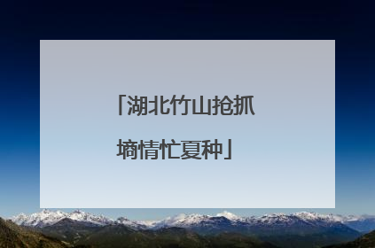 湖北竹山抢抓墒情忙夏种