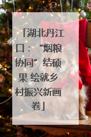 湖北丹江口：“烟粮协同”结硕果 绘就乡村振兴新画卷