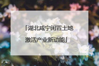 湖北咸宁闲置土地激活产业新动能
