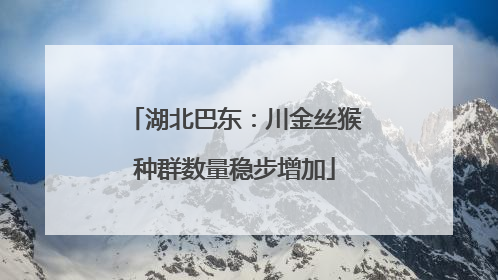 湖北巴东：川金丝猴种群数量稳步增加