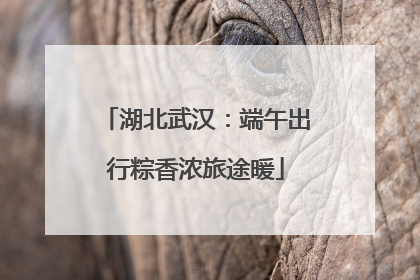 湖北武汉：端午出行粽香浓旅途暖