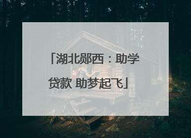 湖北郧西：助学贷款 助梦起飞