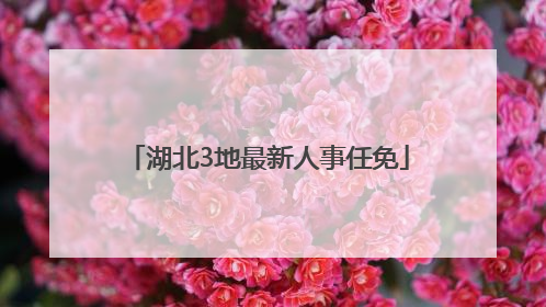 湖北3地最新人事任免