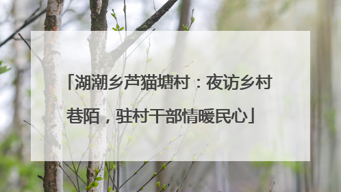 湖潮乡芦猫塘村：夜访乡村巷陌，驻村干部情暖民心