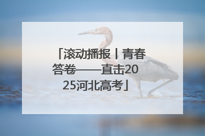滚动播报丨青春答卷——直击2025河北高考