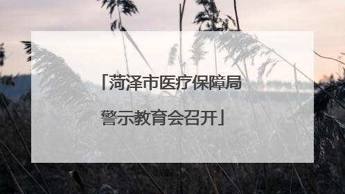 菏泽市医疗保障局警示教育会召开