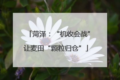 菏泽：“机收会战”让麦田“颗粒归仓”