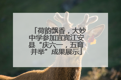 荷韵飘香，大妙中学参加宜宾江安县“庆六一，五育并举”成果展示