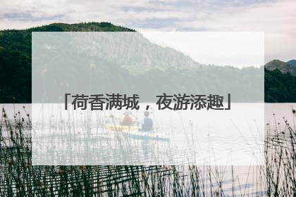 荷香满城，夜游添趣