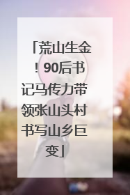 荒山生金！90后书记马传力带领张山头村书写山乡巨变