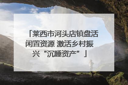 莱西市河头店镇盘活闲置资源 激活乡村振兴“沉睡资产”