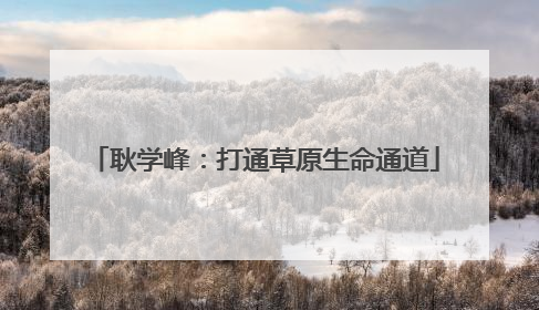 耿学峰：打通草原生命通道