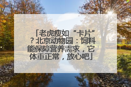 老虎瘦如“卡片”？北京动物园：饲料能保障营养需求，它体重正常，放心吧