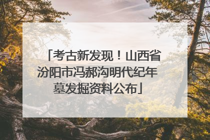 考古新发现！山西省汾阳市冯郝沟明代纪年墓发掘资料公布